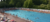 50-m-Schwimmbecken mit Badegäste im Sommer