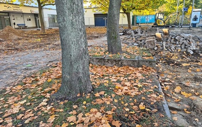 Laub auf Wiese unter Bäumen und im Hintergrund sind Steine des aufgerissenen Fußweges zu sehen